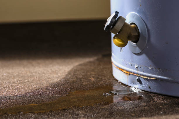 Best Water damage restoration mold remediation  in , MA