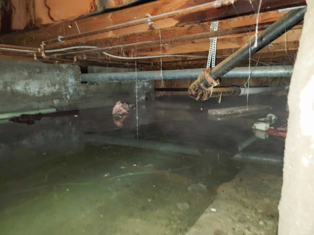 Best Flooded house restoration  in , MA