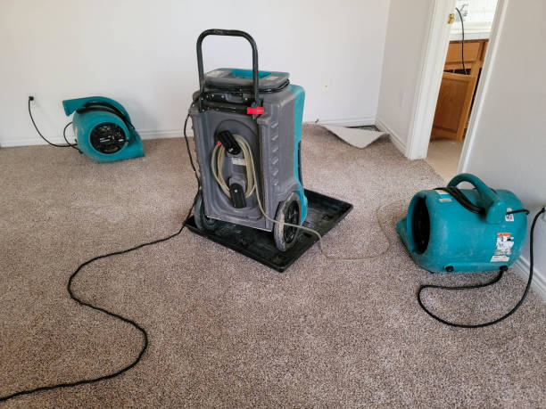 Best Mold removal after water damage  in , MA