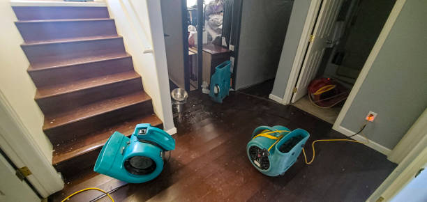 Best Water damage restoration near me  in , MA