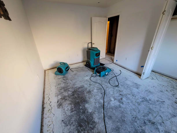 Best Water damage restoration near me  in , MA