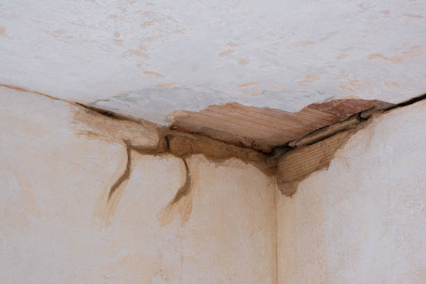 Best Mold removal after water damage  in , MA
