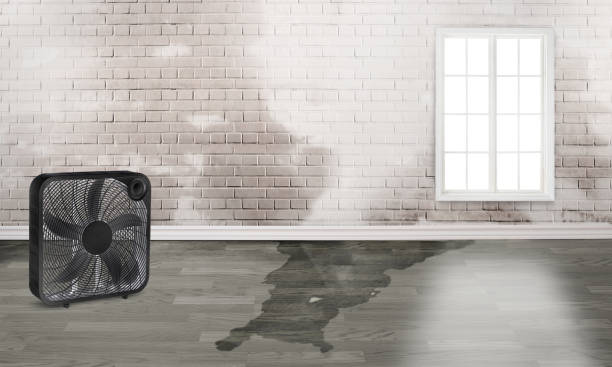 Best Flood restoration services  in , MA