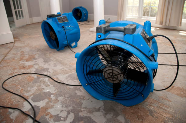 Best Professional water damage repair  in , MA