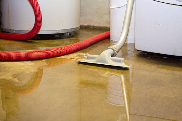 Best Basement water damage restoration  in , MA