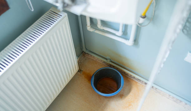 Best Water damage contractors near me  in , MA