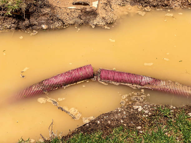  , MA Water damage restoration Pros
