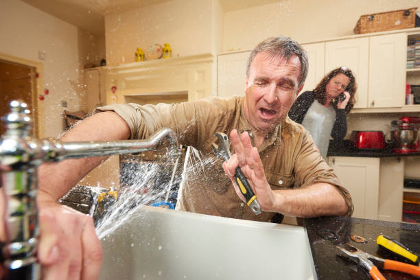 Best Water damage cleanup near me  in , MA